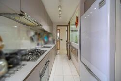 The Visionaire (D27), Condominium #609172791